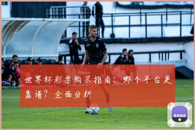 世界杯彩票购买指南：哪个平台更靠谱？全面分析