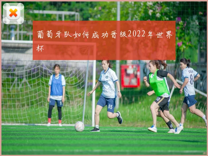 葡萄牙队如何成功晋级2022年世界杯