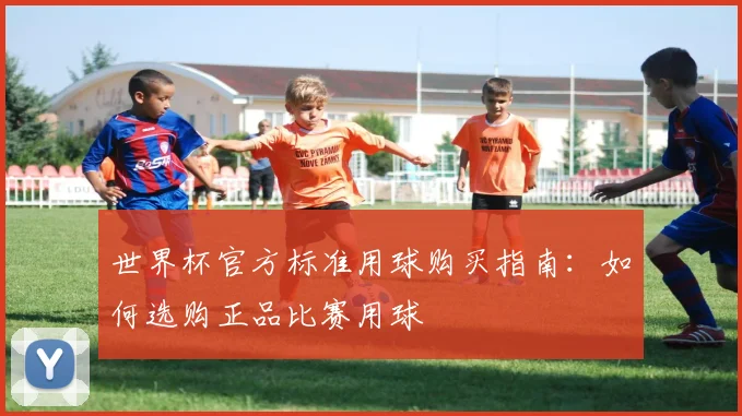 世界杯官方标准用球购买指南：如何选购正品比赛用球