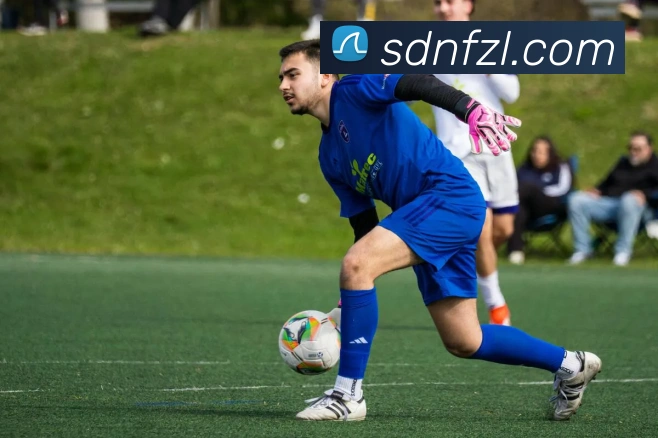 互动解说服务