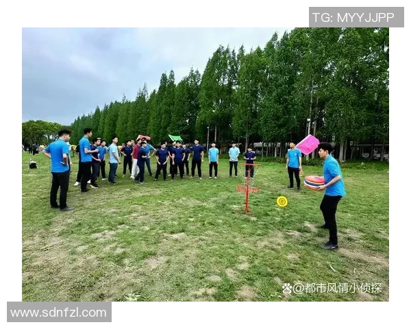 飞盘个人能力排行榜揭晓武汉飞盘队荣获第三名展现强大实力