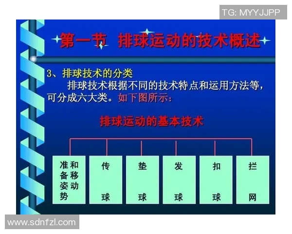 成都排球队中路突破的战术解析与训练秘籍分享